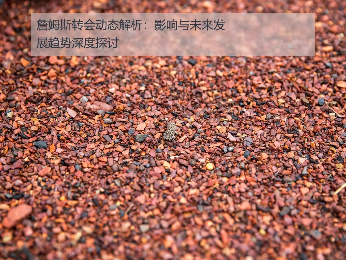 詹姆斯转会动态解析：影响与未来发展趋势深度探讨